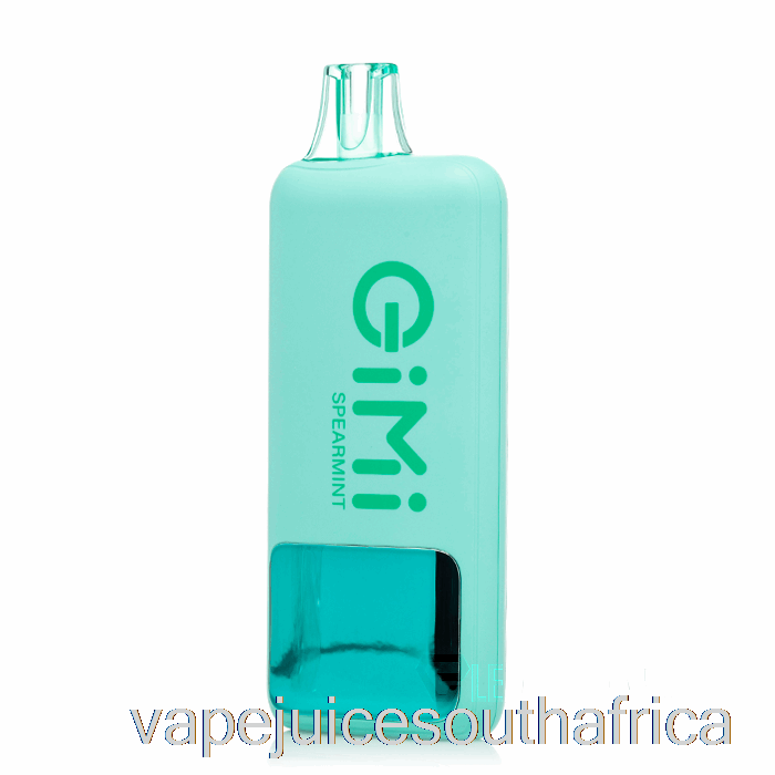 Vape Juice South Africa Flum Gimi 8500 Smart Disposable Spearmint
